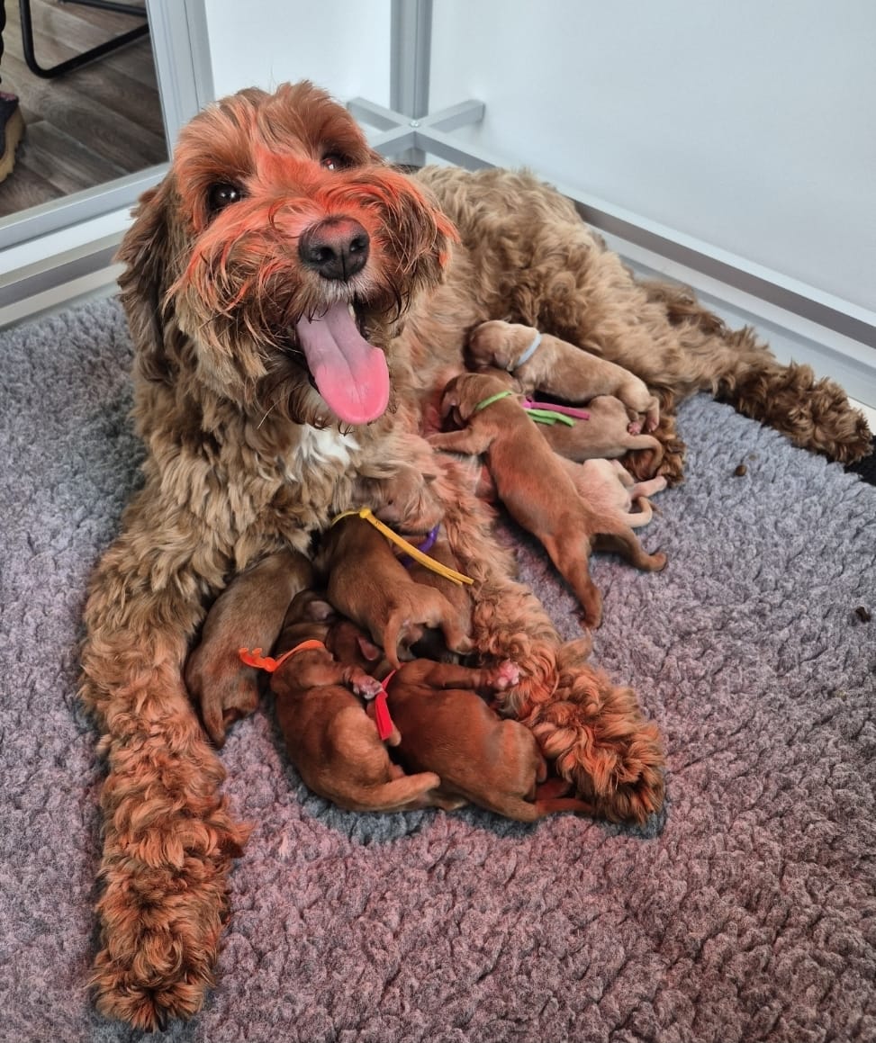 WhatsApp Image 2026-03-13 at 22.01.18 (1)