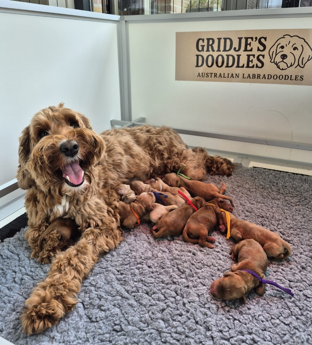 WhatsApp Image 2026-03-13 at 22.01.18