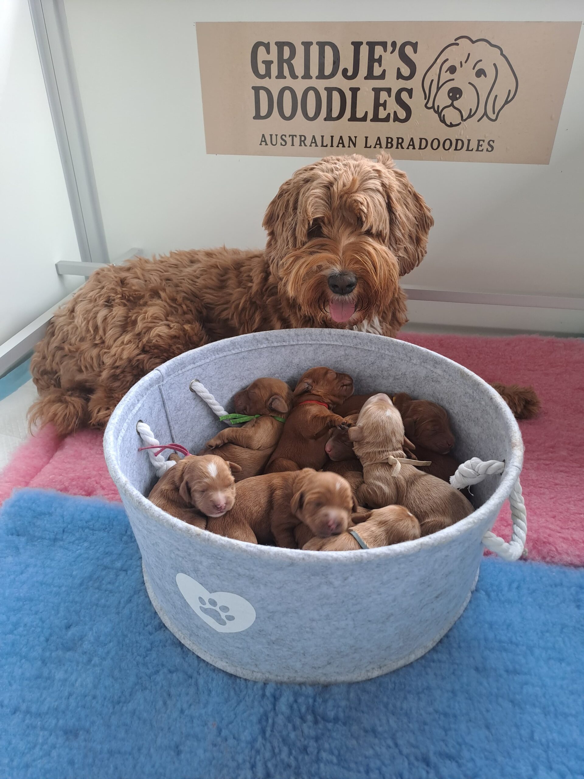 WhatsApp Image 2026-03-14 at 11.17.16